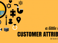 Sample of Customer attribute