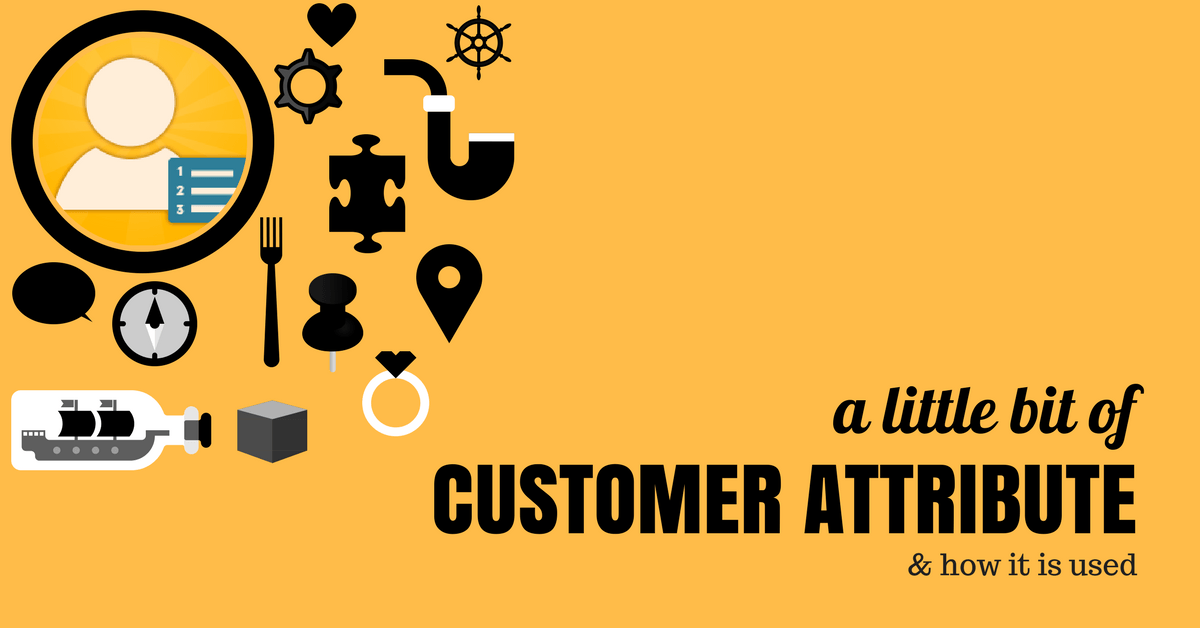 Sample of Customer attribute